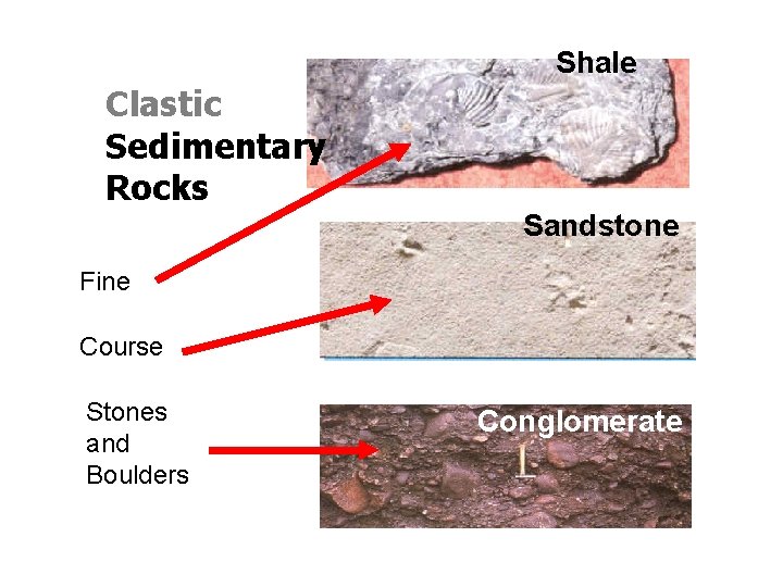 Shale Clastic Sedimentary Rocks Sandstone Fine Course Stones and Boulders Conglomerate Shale Clastic Sedimentary Rocks Sandstone Fine Course Stones and Boulders Conglomerate