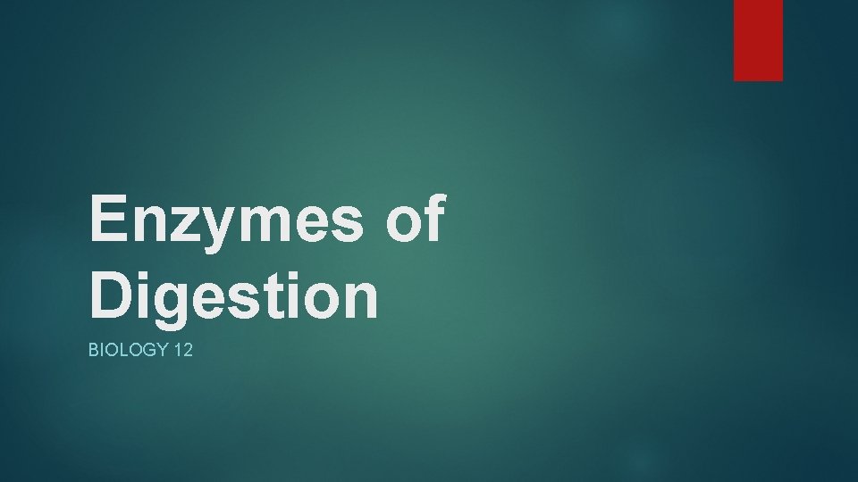 Enzymes of Digestion BIOLOGY 12 