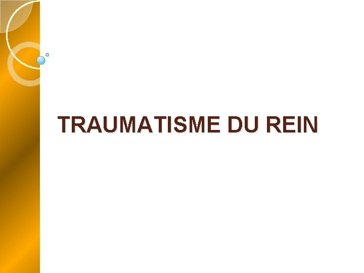 TRAUMATISME DU REIN 