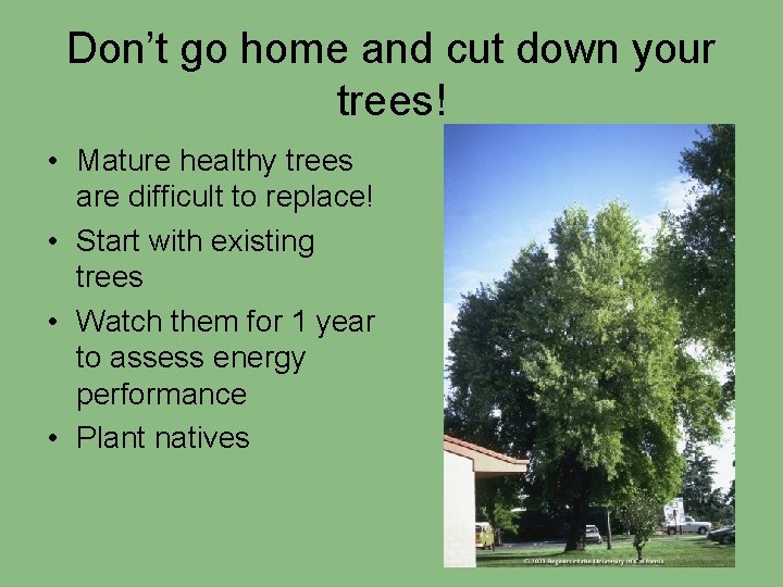 Don’t go home and cut down your trees! • Mature healthy trees are difficult