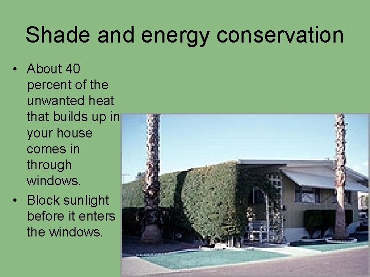 Shade and energy conservation • About 40 percent of the unwanted heat that builds