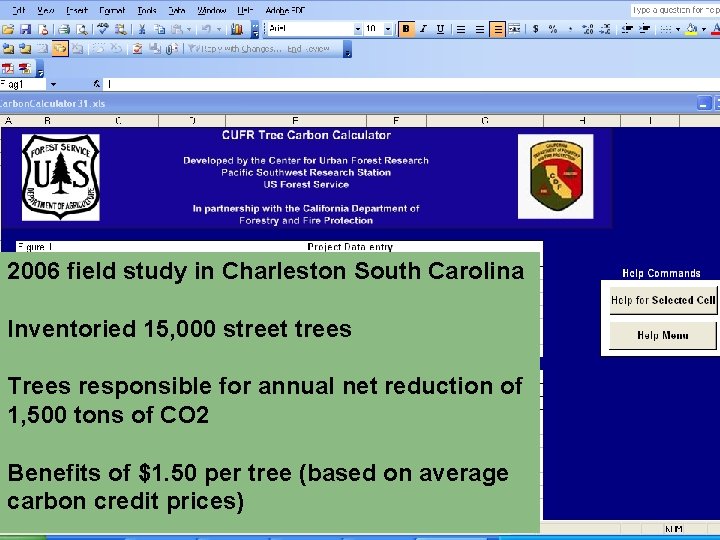 2006 field study in Charleston South Carolina Inventoried 15, 000 street trees Trees responsible