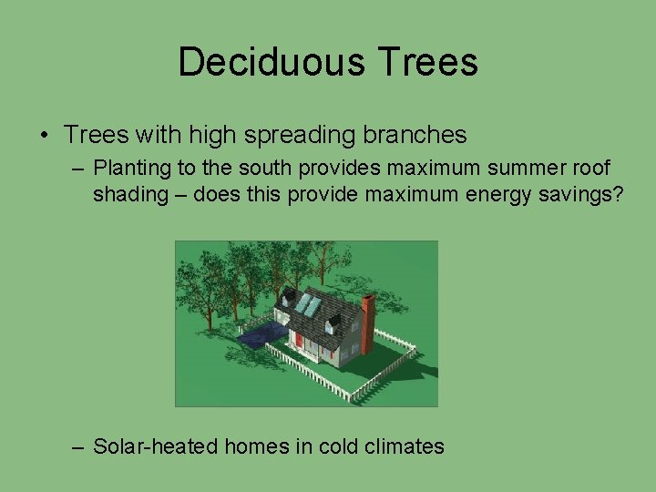 Deciduous Trees • Trees with high spreading branches – Planting to the south provides