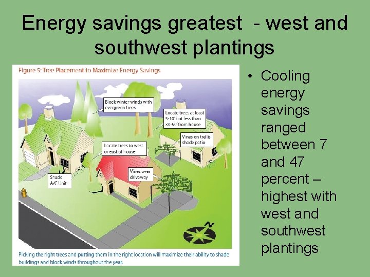 Energy savings greatest - west and southwest plantings • Cooling energy savings ranged between