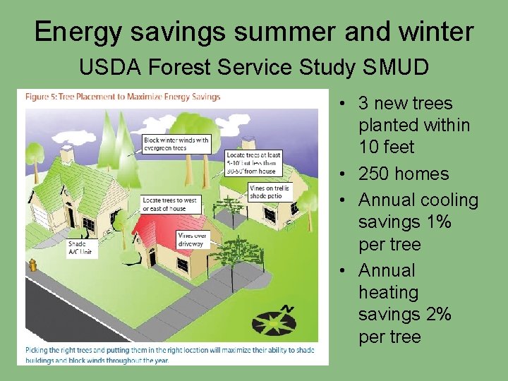 Energy savings summer and winter USDA Forest Service Study SMUD • 3 new trees