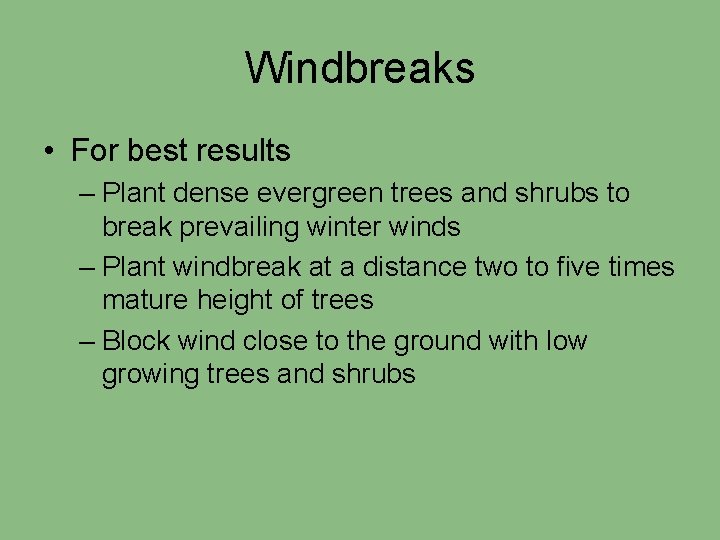 Windbreaks • For best results – Plant dense evergreen trees and shrubs to break