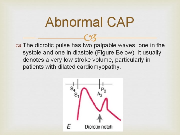 Abnormal CAP The dicrotic pulse has two palpable waves, one in the systole and