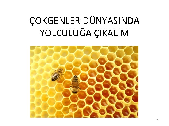 ÇOKGENLER DÜNYASINDA YOLCULUĞA ÇIKALIM 1 