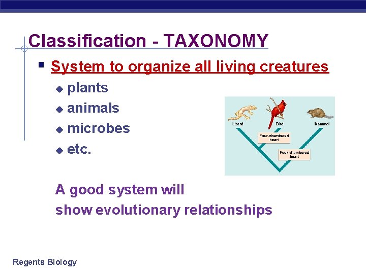 Classification - TAXONOMY § System to organize all living creatures plants u animals u Classification - TAXONOMY § System to organize all living creatures plants u animals u