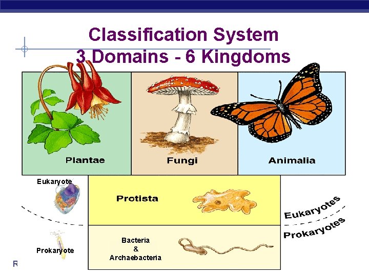 Classification System 3 Domains - 6 Kingdoms Eukaryote Prokaryote Regents Biology Bacteria & Archaebacteria Classification System 3 Domains - 6 Kingdoms Eukaryote Prokaryote Regents Biology Bacteria & Archaebacteria