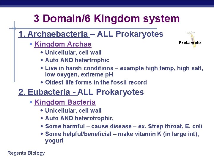 3 Domain/6 Kingdom system 1. Archaebacteria – ALL Prokaryotes Prokaryote § Kingdom Archae w 3 Domain/6 Kingdom system 1. Archaebacteria – ALL Prokaryotes Prokaryote § Kingdom Archae w