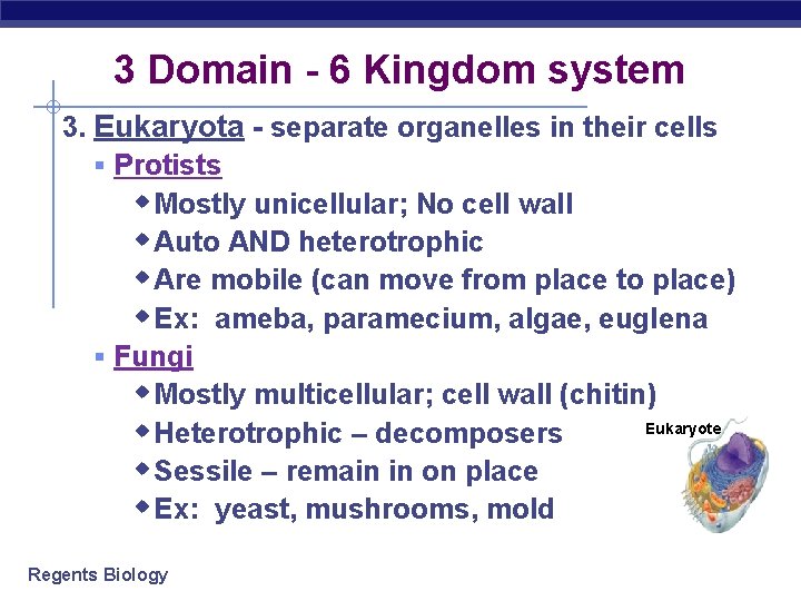 3 Domain - 6 Kingdom system 3. Eukaryota - separate organelles in their cells 3 Domain - 6 Kingdom system 3. Eukaryota - separate organelles in their cells