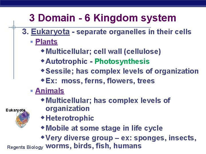 3 Domain - 6 Kingdom system 3. Eukaryota - separate organelles in their cells 3 Domain - 6 Kingdom system 3. Eukaryota - separate organelles in their cells