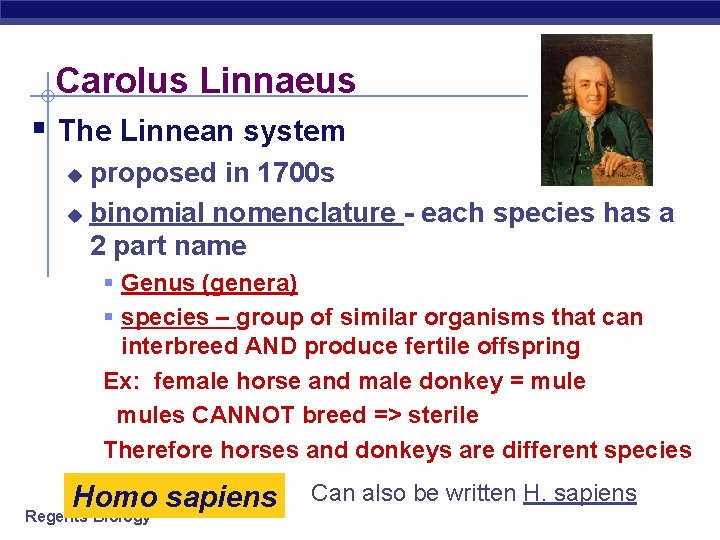 Carolus Linnaeus § The Linnean system proposed in 1700 s u binomial nomenclature - Carolus Linnaeus § The Linnean system proposed in 1700 s u binomial nomenclature -