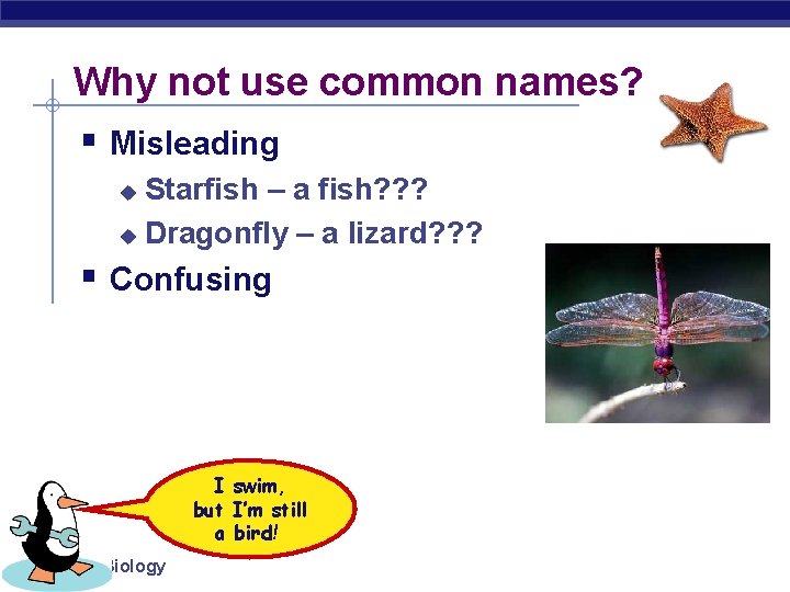 Why not use common names? § Misleading Starfish – a fish? ? ? u Why not use common names? § Misleading Starfish – a fish? ? ? u