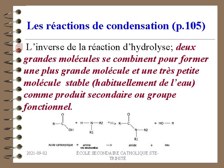 Les réactions de condensation (p. 105) 4 L’inverse de la réaction d’hydrolyse; deux grandes