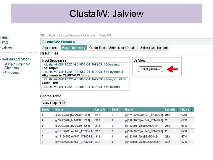 Clustal. W: Jalview 