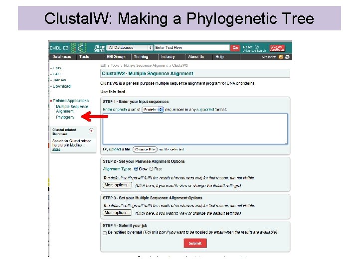 Clustal. W: Making a Phylogenetic Tree 