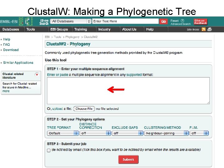 Clustal. W: Making a Phylogenetic Tree 