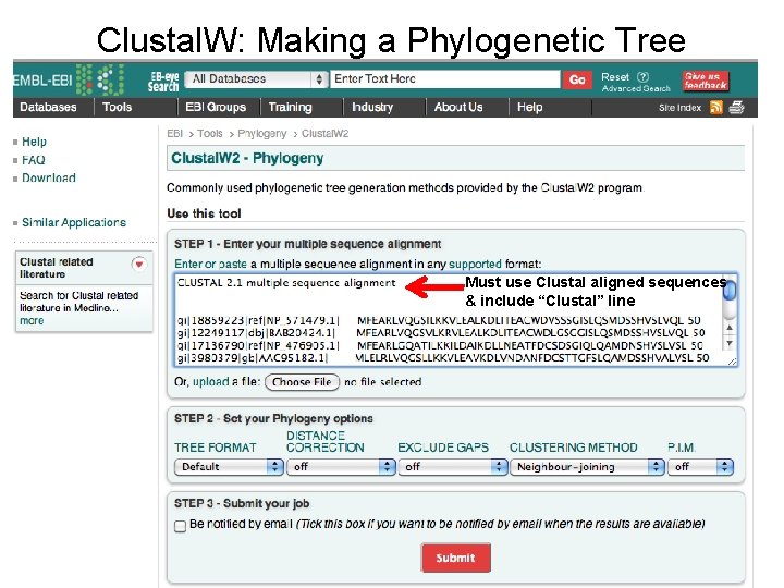 Clustal. W: Making a Phylogenetic Tree Must use Clustal aligned sequences & include “Clustal”