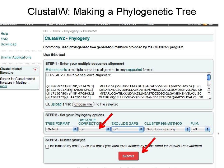 Clustal. W: Making a Phylogenetic Tree 