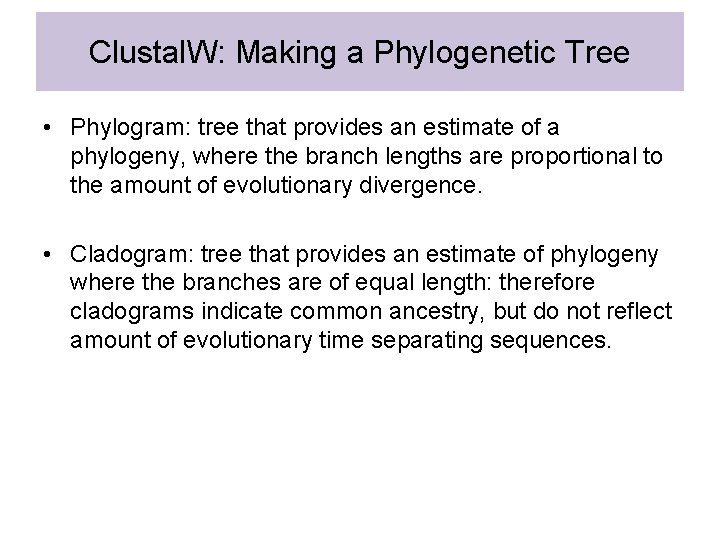 Clustal. W: Making a Phylogenetic Tree • Phylogram: tree that provides an estimate of