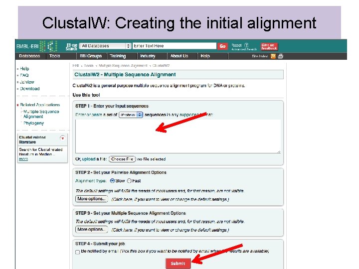 Clustal. W: Creating the initial alignment 