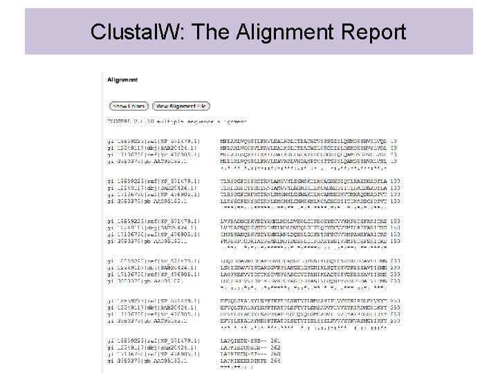 Clustal. W: The Alignment Report 