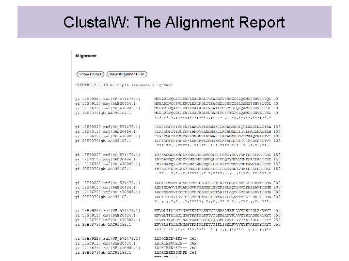 Clustal. W: The Alignment Report 