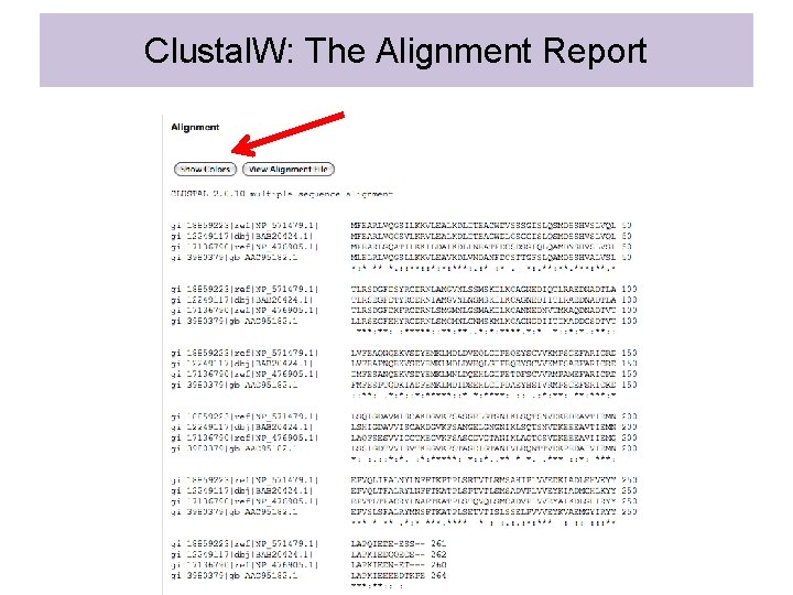 Clustal. W: The Alignment Report 