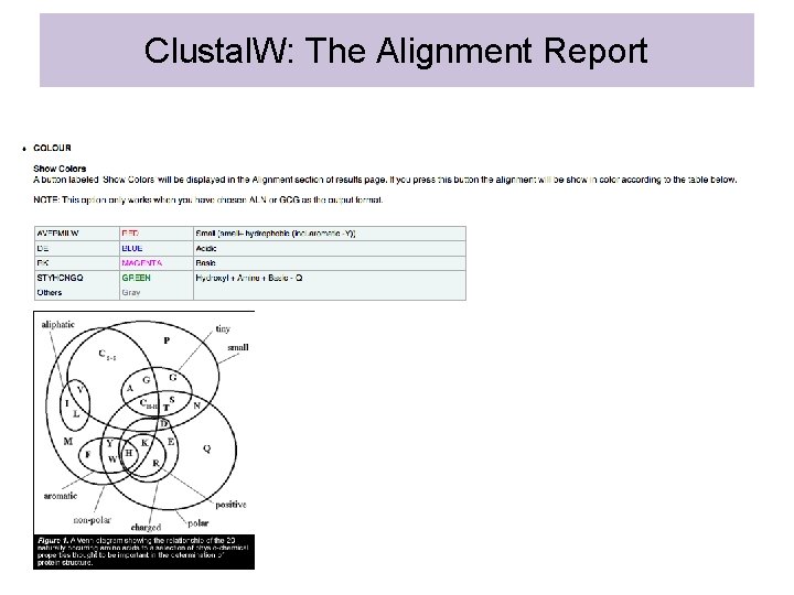 Clustal. W: The Alignment Report 