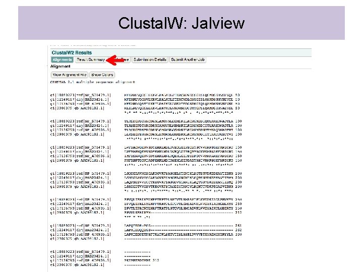 Clustal. W: Jalview 