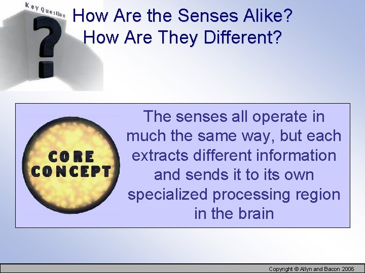 How Are the Senses Alike? How Are They Different? The senses all operate in