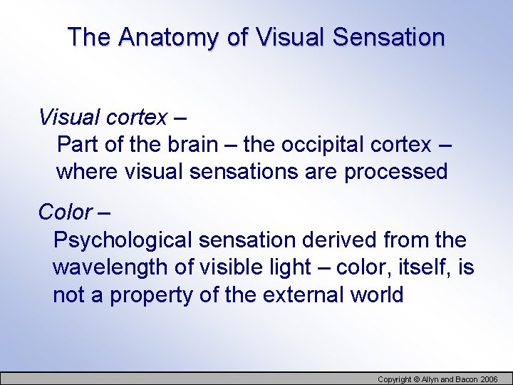 The Anatomy of Visual Sensation Visual cortex – Part of the brain – the