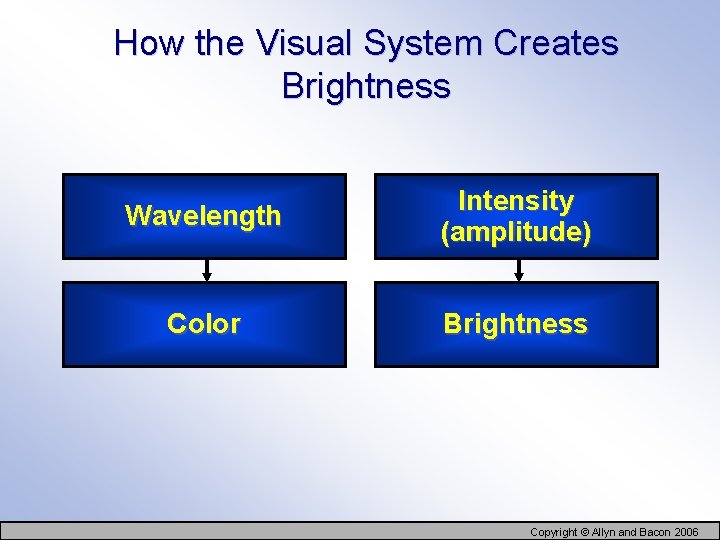 How the Visual System Creates Brightness Wavelength Intensity (amplitude) Color Brightness Copyright © Allyn