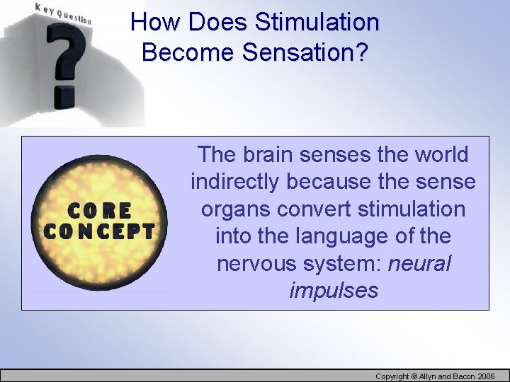 How Does Stimulation Become Sensation? The brain senses the world indirectly because the sense