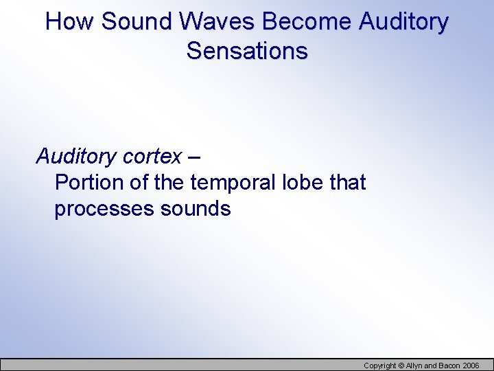 How Sound Waves Become Auditory Sensations Auditory cortex – Portion of the temporal lobe