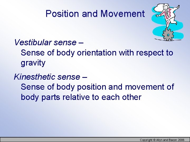 Position and Movement Vestibular sense – Sense of body orientation with respect to gravity