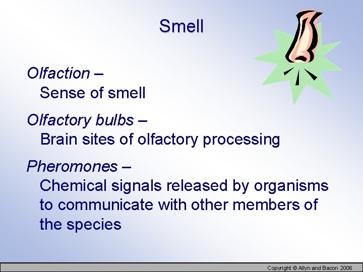 Smell Olfaction – Sense of smell Olfactory bulbs – Brain sites of olfactory processing
