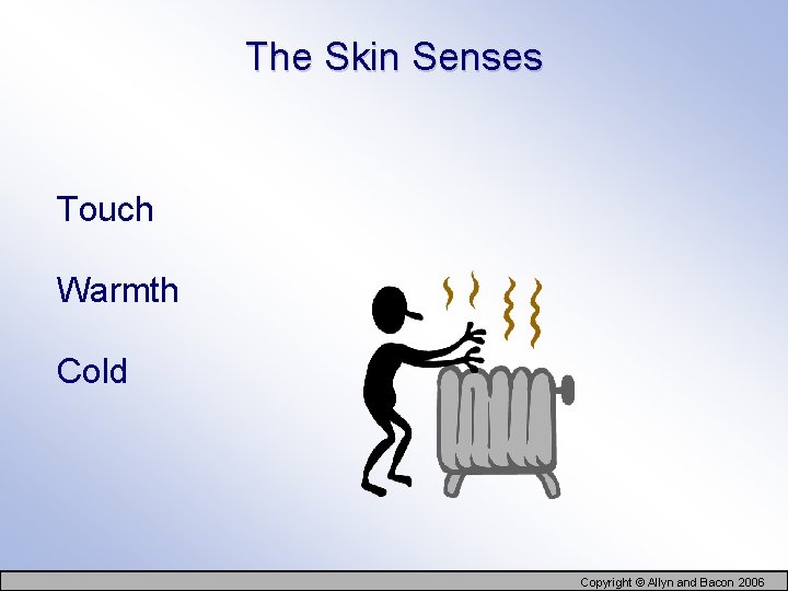 The Skin Senses Touch Warmth Cold Copyright © Allyn and Bacon 2006 