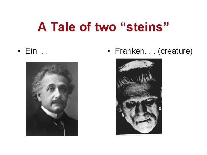 A Tale of two “steins” • Ein. . . • Franken. . . (creature)