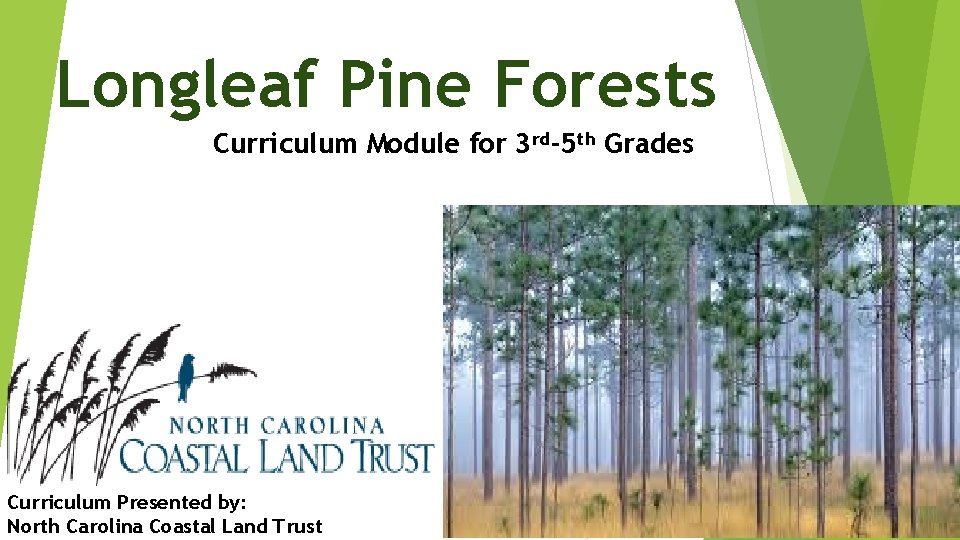 Longleaf Pine Forests Curriculum Module for 3 rd5