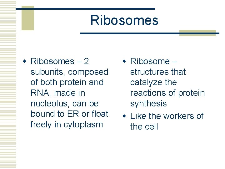 Ribosomes w Ribosomes – 2 subunits, composed of both protein and RNA, made in