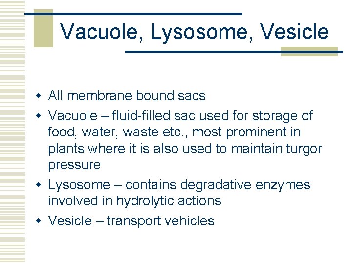 Vacuole, Lysosome, Vesicle w All membrane bound sacs w Vacuole – fluid-filled sac used