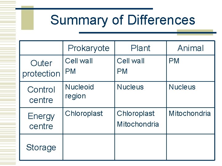 Summary of Differences Prokaryote Plant Animal Cell wall Outer protection PM Cell wall PM