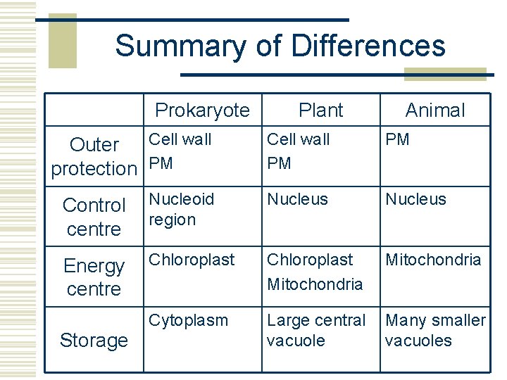 Summary of Differences Prokaryote Plant Animal Cell wall Outer protection PM Cell wall PM