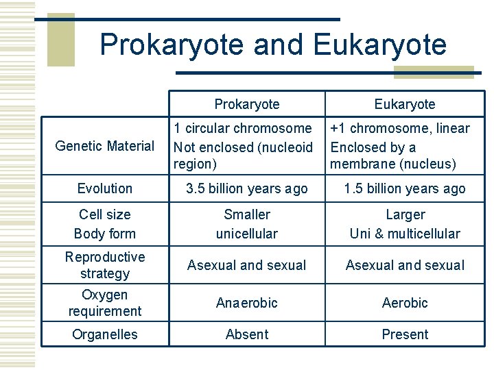 Prokaryote and Eukaryote Prokaryote Eukaryote Genetic Material 1 circular chromosome Not enclosed (nucleoid region)
