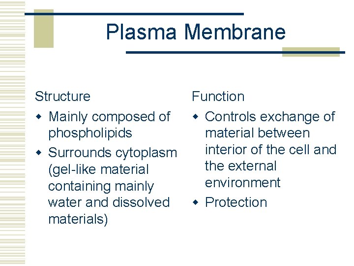 Plasma Membrane Structure w Mainly composed of phospholipids w Surrounds cytoplasm (gel-like material containing
