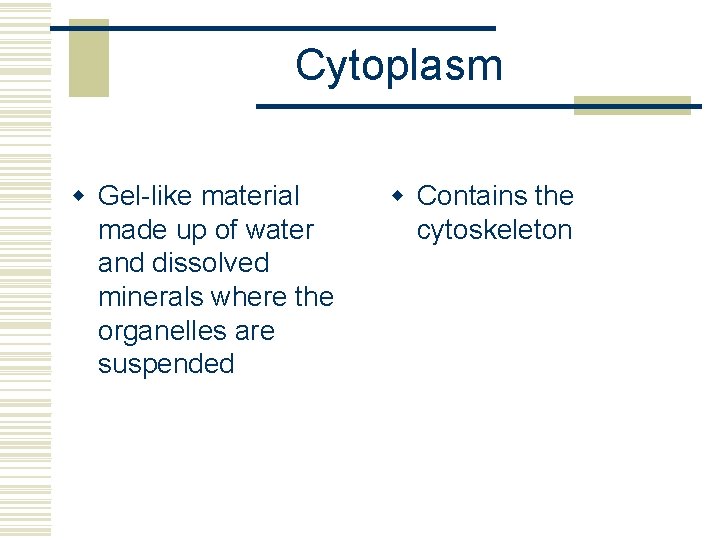 Cytoplasm w Gel-like material made up of water and dissolved minerals where the organelles
