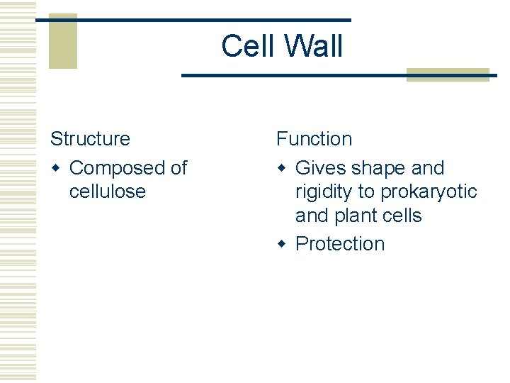 Cell Wall Structure w Composed of cellulose Function w Gives shape and rigidity to
